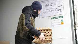 Продажа яиц в Белгородской области